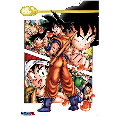 Unleash Your Inner Warrior with the Dragon Ball Kame Team Poster