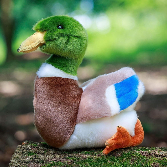 Junior Animigos Mallard Duck Toy - 24cm - Soft & Cute - Nature Collection